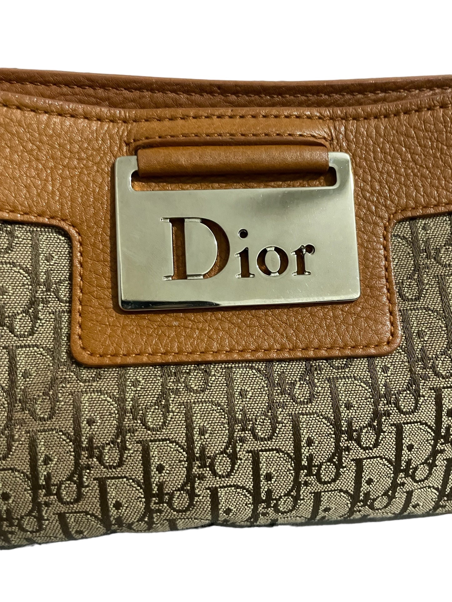 DIOR TROTTER