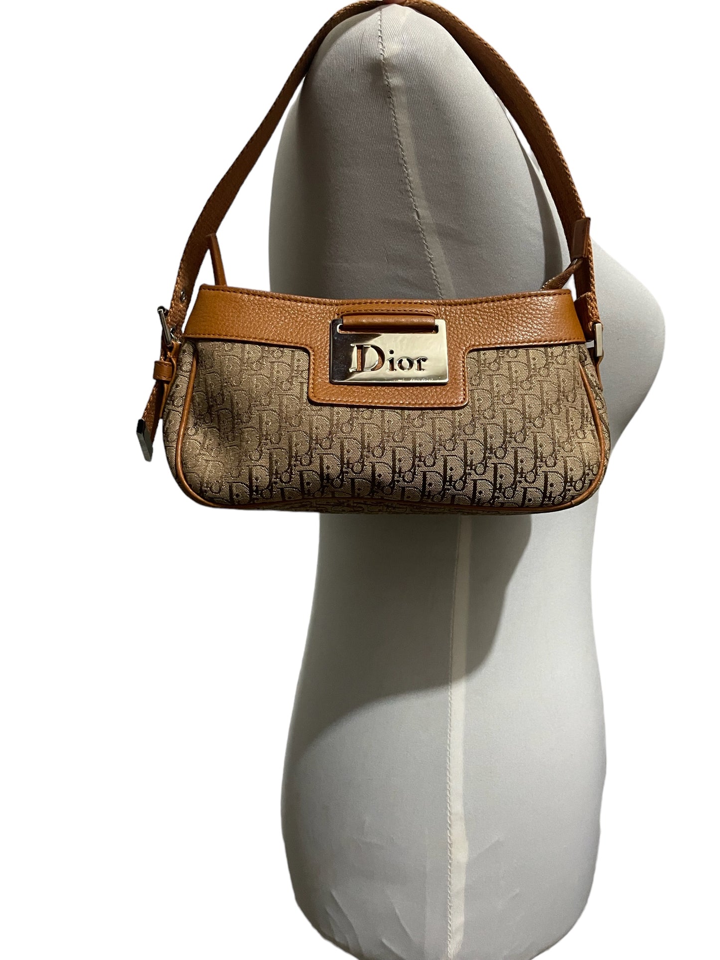 DIOR TROTTER